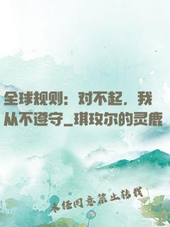 全球规则：对不起，我从不遵守