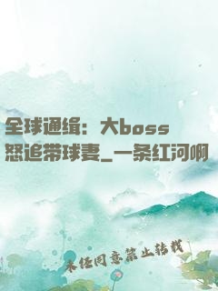 全球通缉：大boss怒追带球妻