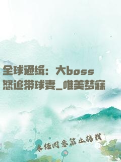 全球通缉：大boss怒追带球妻