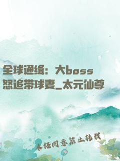 全球通缉：大boss怒追带球妻