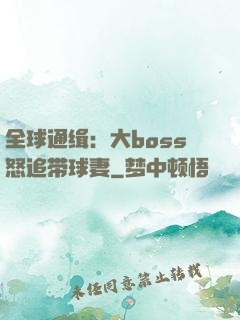 全球通缉：大boss怒追带球妻