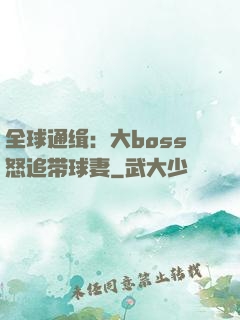 全球通缉：大boss怒追带球妻