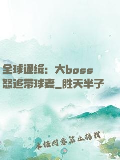 全球通缉：大boss怒追带球妻
