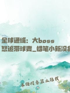 全球通缉：大boss怒追带球妻