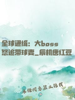 全球通缉：大boss怒追带球妻