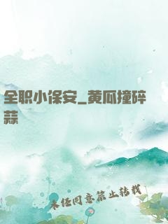 全职小保安
