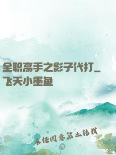 全职高手之影子代打