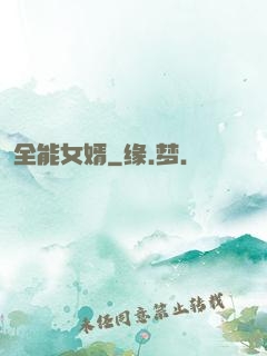 全能女婿