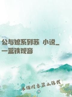 公与媳系列苏玥小说