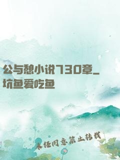 公与憩小说730章