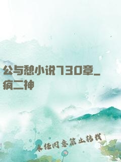 公与憩小说730章