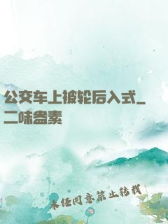 公交车上被轮后入式