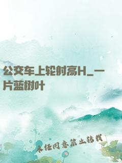 公交车上轮射高H
