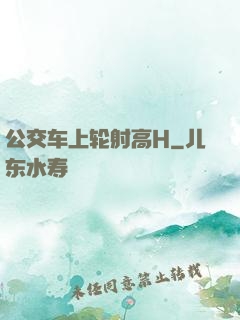 公交车上轮射高H