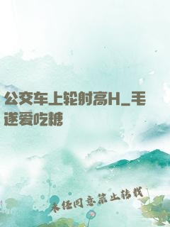 公交车上轮射高H