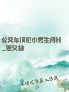 公交车侵犯小男生肉H