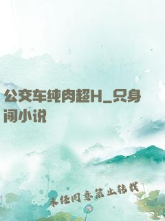 公交车纯肉超H