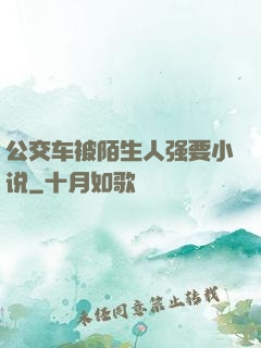 公交车被陌生人强要小说