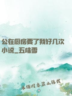 公在厨房要了我好几次小说