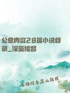 公息肉欲28篇小说目录