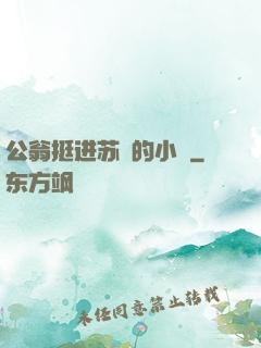 公翁挺进苏玥的小泬
