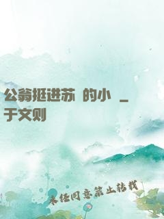公翁挺进苏玥的小泬