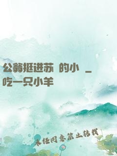 公翁挺进苏玥的小泬