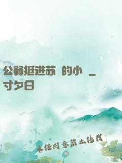 公翁挺进苏玥的小泬