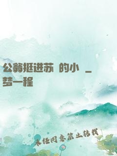 公翁挺进苏玥的小泬
