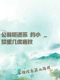 公翁挺进苏玥的小泬