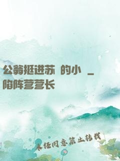 公翁挺进苏玥的小泬