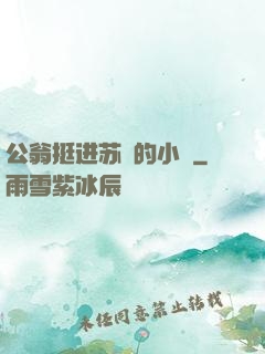 公翁挺进苏玥的小泬