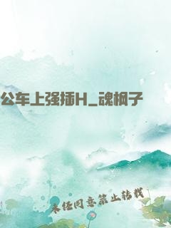 公车上强插H