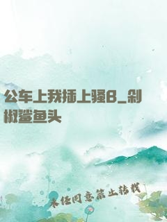 公车上我插上骚B