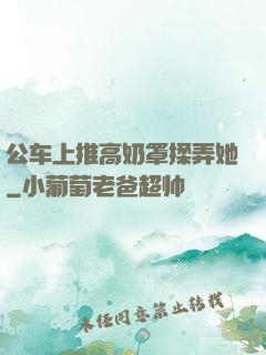 公车上推高奶罩揉弄她