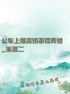 公车上推高奶罩揉弄她