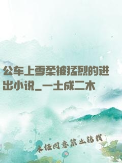 公车上雪柔被猛烈的进出小说