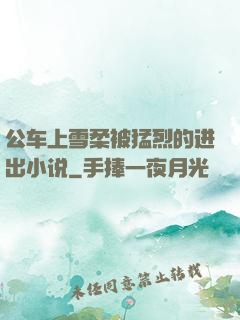 公车上雪柔被猛烈的进出小说