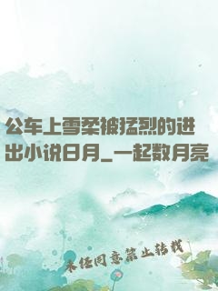 公车上雪柔被猛烈的进出小说日月