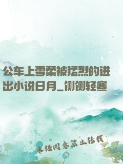 公车上雪柔被猛烈的进出小说日月