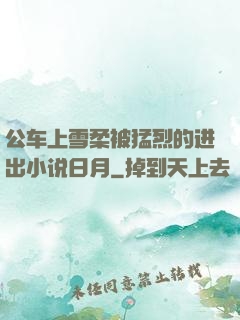 公车上雪柔被猛烈的进出小说日月