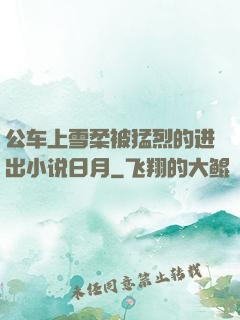 公车上雪柔被猛烈的进出小说日月