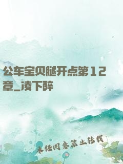 公车宝贝腿开点第12章