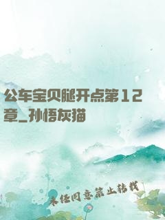 公车宝贝腿开点第12章