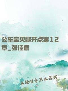 公车宝贝腿开点第12章