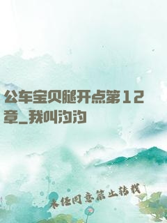 公车宝贝腿开点第12章