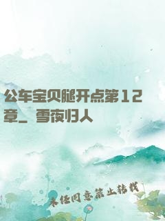 公车宝贝腿开点第12章