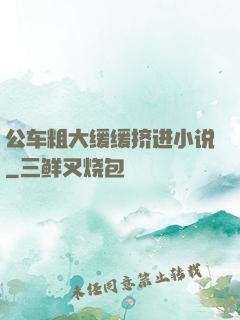 公车粗大缓缓挤进小说