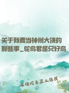 关于我要当神州大侠的那些事