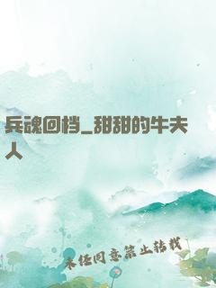 兵魂回档
